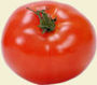 tomate